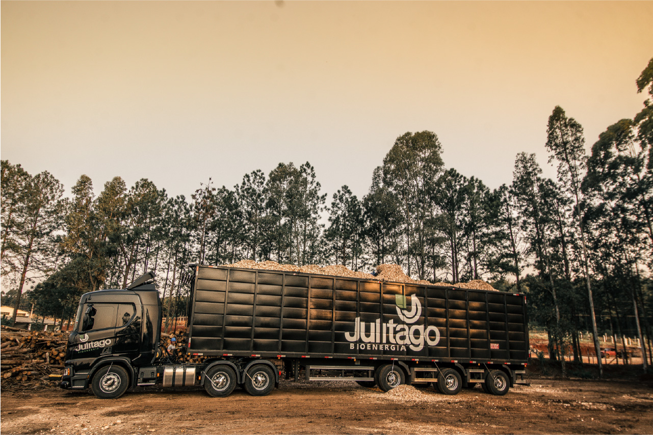 Julitago Bioenergia Ltda