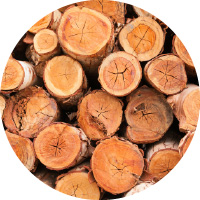 processo 1 - Julitago Bioenergia